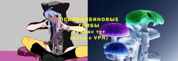 прущая мука Карпинск