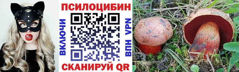 Галлюциногенные грибы Psilocybine cubensis Болохово